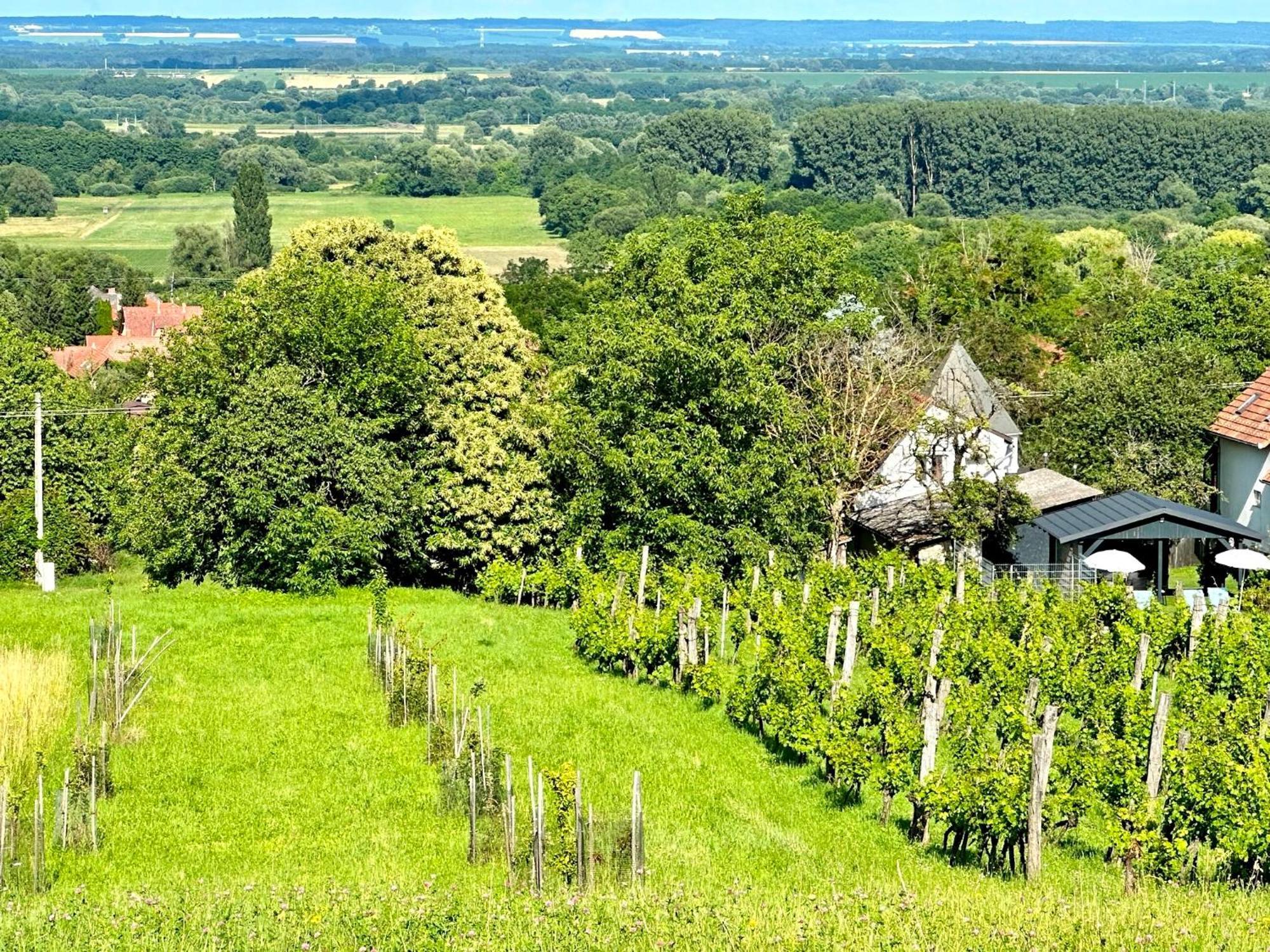 Szent Orbán Panzió Zalakaros Exterior foto